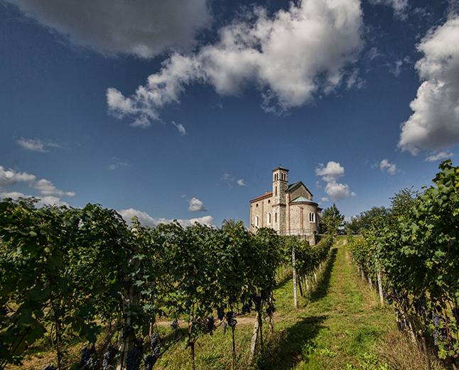 eccellenza alto piemontese - pidrin